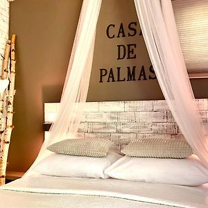 Casa De Palmas - Tiny House